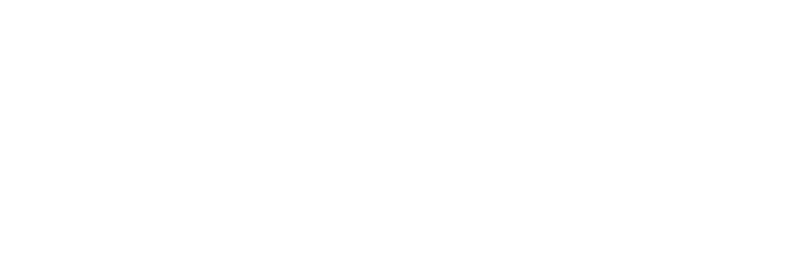 Summer Start Festival Logo